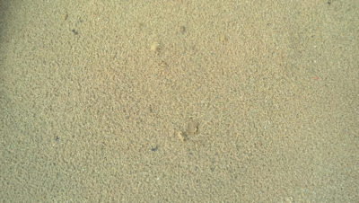 AREIA-REBOCO-AMARELA